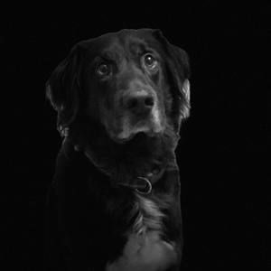 Meet your Posher, Cameron